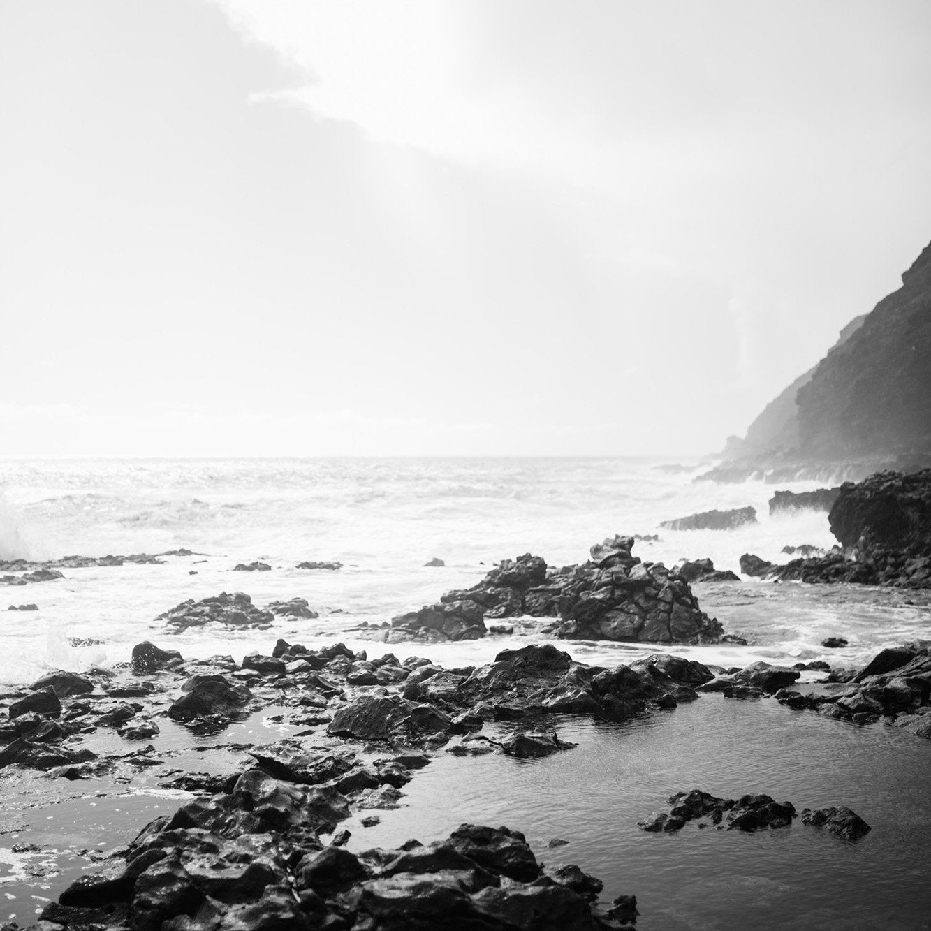 The Monochrome Packs